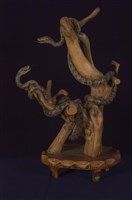 藏品(龜殼花)的圖片